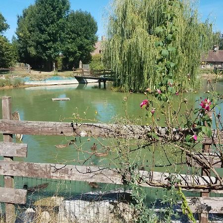 Ferme Bressane Les Arums Bed & Breakfast Mervans Exterior photo